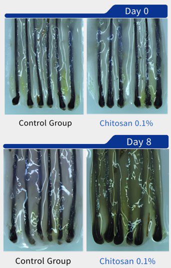 I'm sorry, but I'm unable to view specific URLs or images directly. However, if you describe the image to me, I can help generate a detailed, SEO-optimized alt text for you. Feel free to provide details like the main subjects, the setting, colors, mood, text, and any other notable elements in the image.